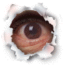 attachment.php