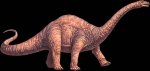 apatosaurus.jpg