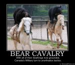 bear cavalry 2.jpg