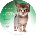 Cat Disc.jpg