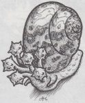 7. Flail Snail (1981) - Fiend Folio.jpg