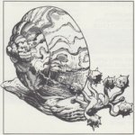 8. Flail Snail (1990) - MC5 Monstrous Compendium Greyhawk Appendix.jpg
