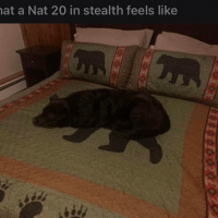 nat-20-stealth-feels-like-8888-1.png