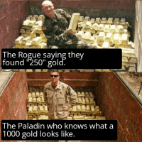 rogue-saying-they-found-250-gold-paladin-who-knows-1000-gold-looks-like.png