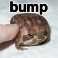 Bump toad.jpg