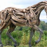 root horse.jpg