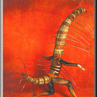 centipede-woman.gif