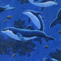 dolphins-whales1.jpg