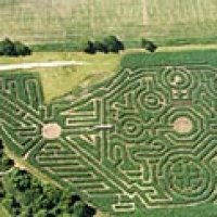 hedge maze.jpg