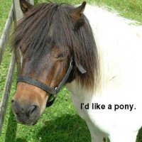 pony.jpg