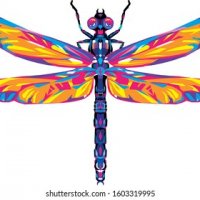 abstract-polygonal-colorful-dragonfly-illustration-260nw-1603319995.jpg