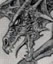 Joined Mar 2003, 479 posts Planesdragon's Avatar