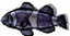 Joined Nov 2003, 3,413 posts Pinotage's Avatar