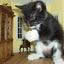 Joined Feb 2005, 25 posts pvt. patterson's Avatar