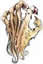 Joined Feb 2010, 48 posts Erdrick Dragin's Avatar