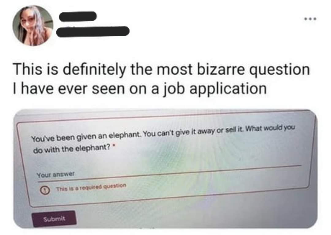 1000000148.jpg