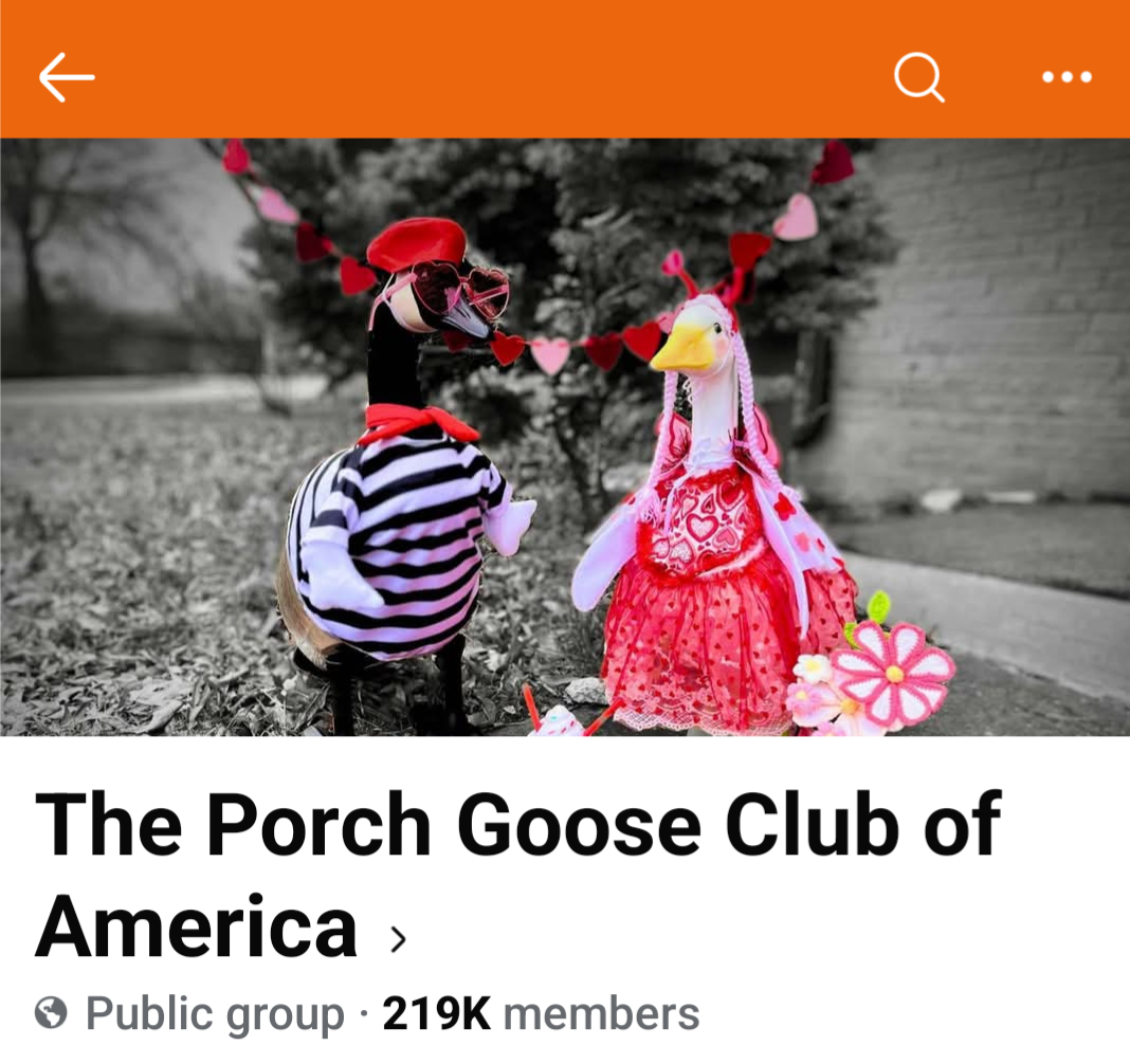 1000000379.png