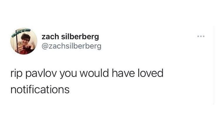 1000000868.jpg