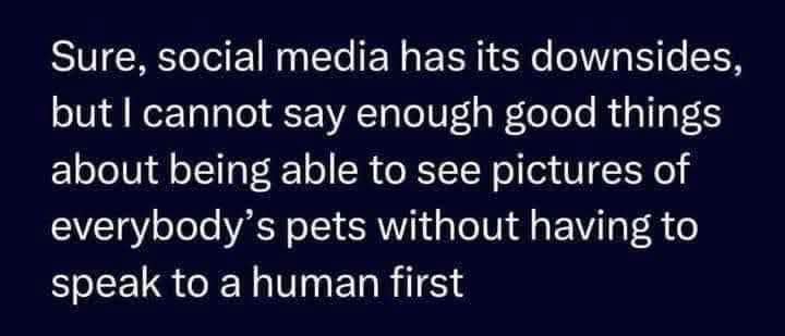 1000001961.jpg