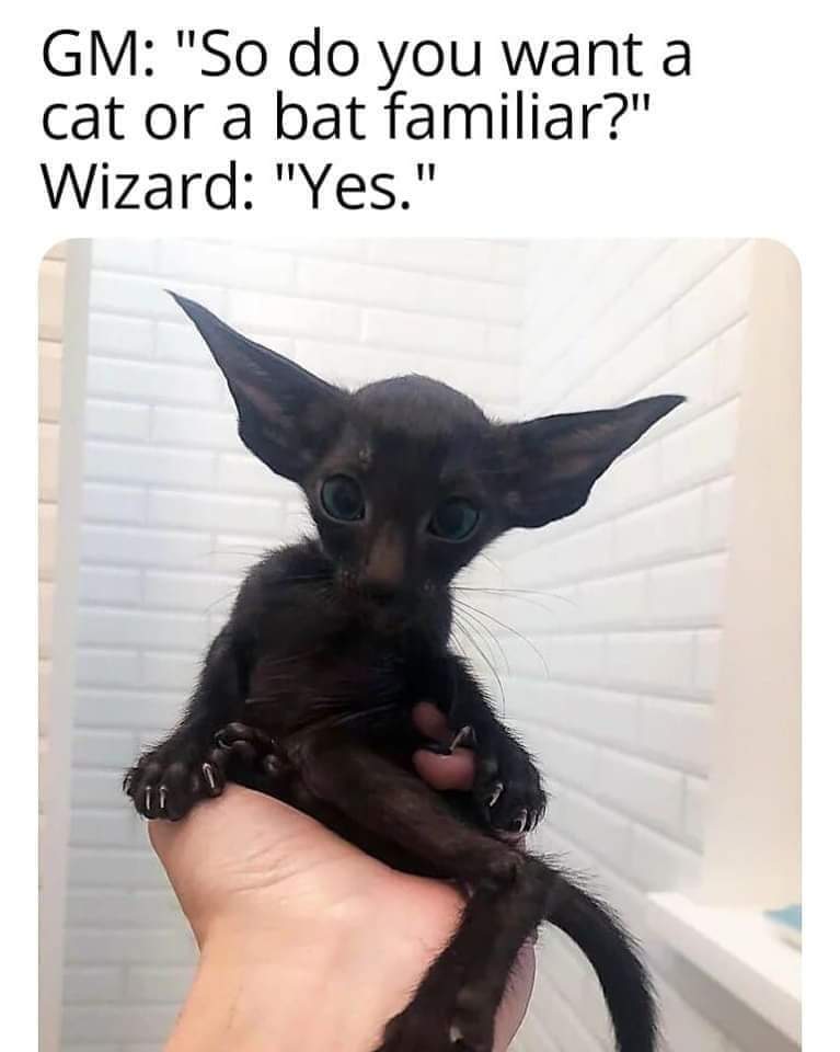 1000003677.jpg