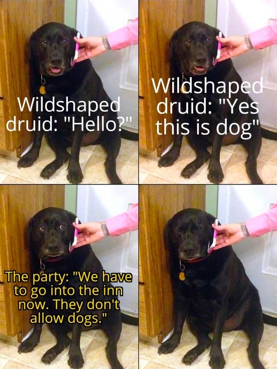 1000008115.jpg