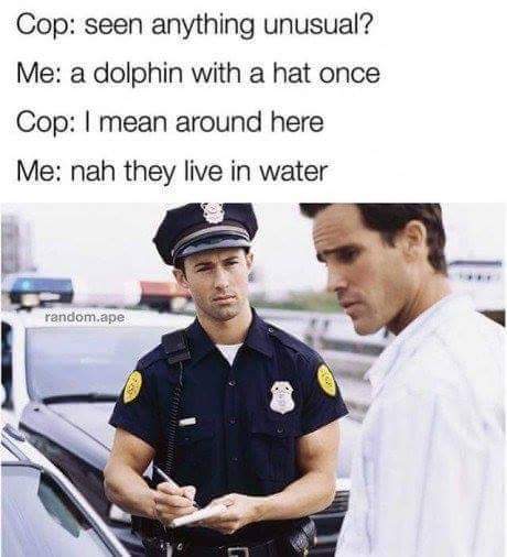 1000030498.jpg