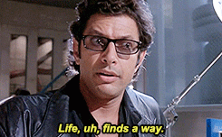 1575661400150.gif