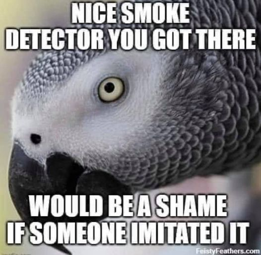 1609170920039.png