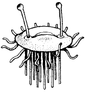1625318339293.png