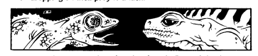 1641483877737.png