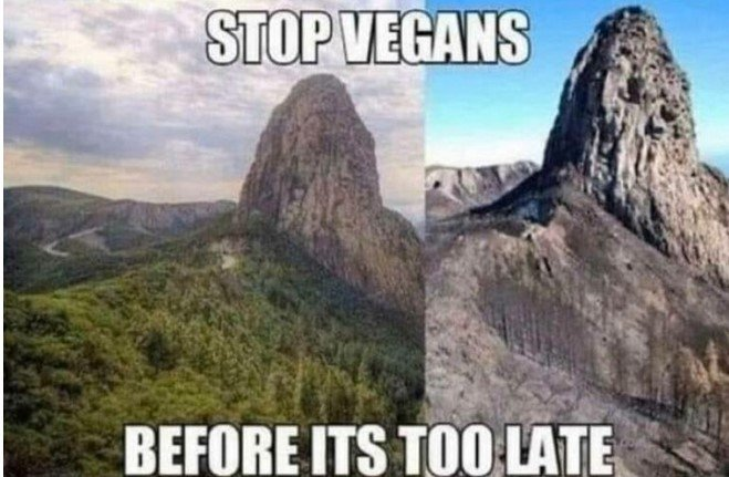 1648346606542.png