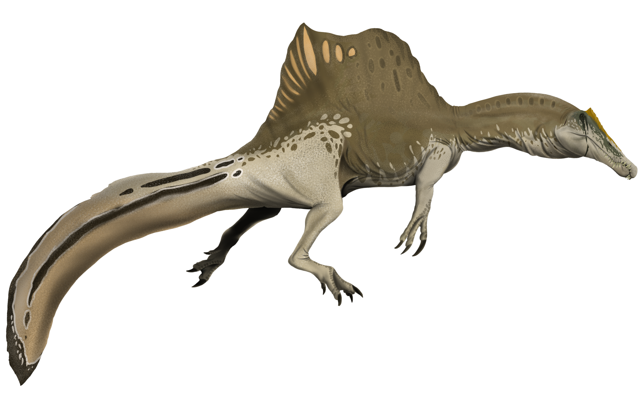 1653268988071.png