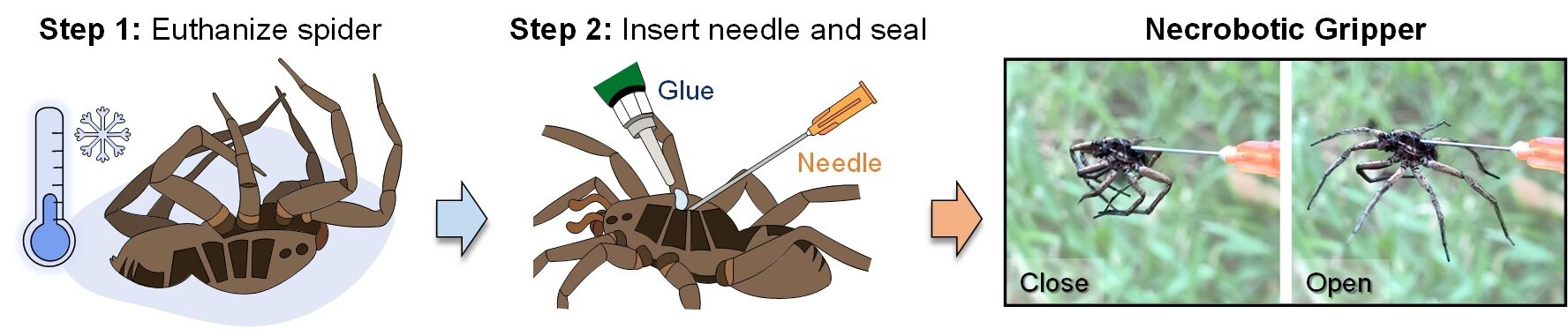 1659034711776.png