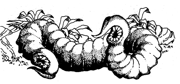 1660078952645.png