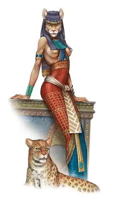 1661177556296.png