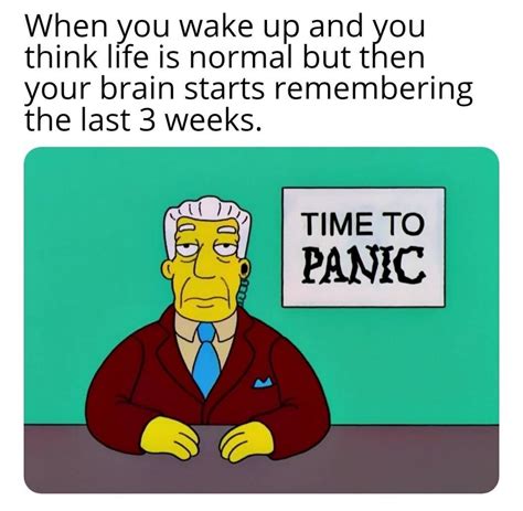 1673667387371.jpeg