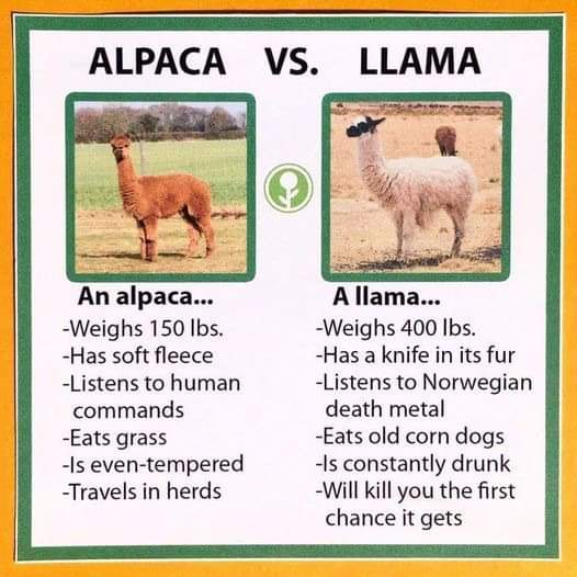 1675304220636.png