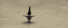 1690817079816.gif