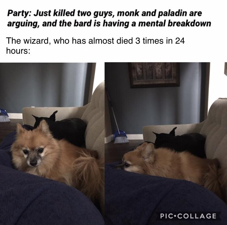 1690838446493.png