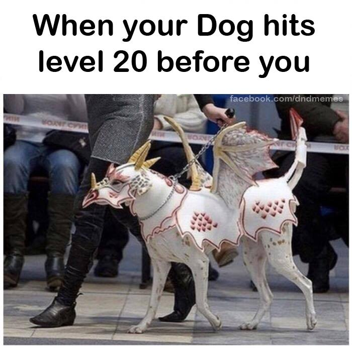 1690838560150.png