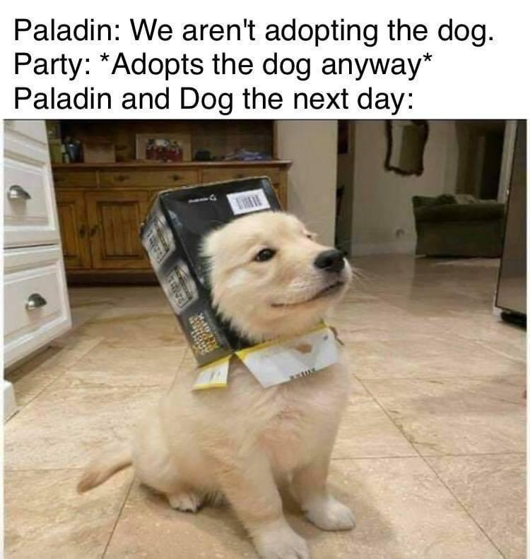 1690838600604.png