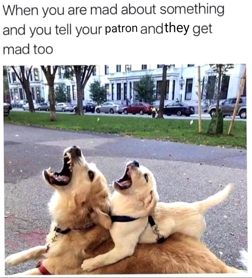 1690838635834.png