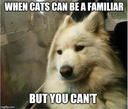 1690839058222.png