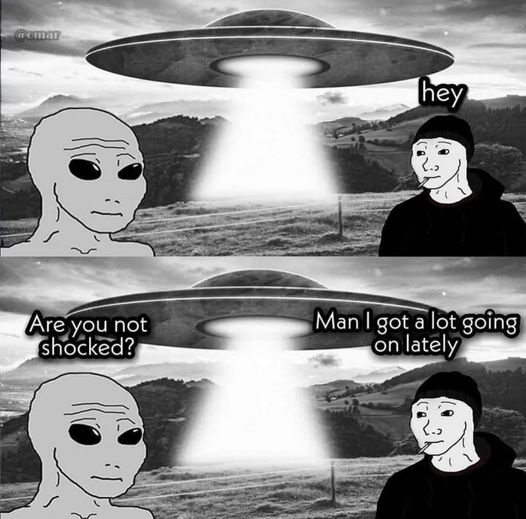 1690950519135.png