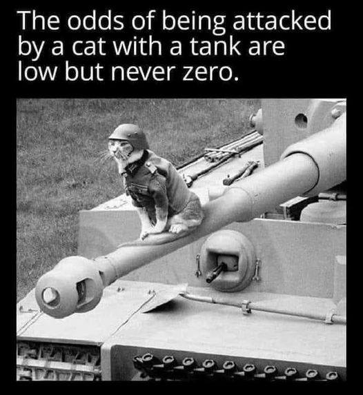 1692806578634.png