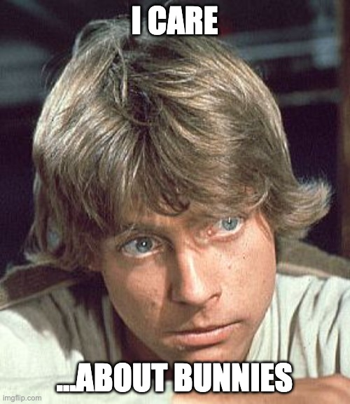 1698284550830.png