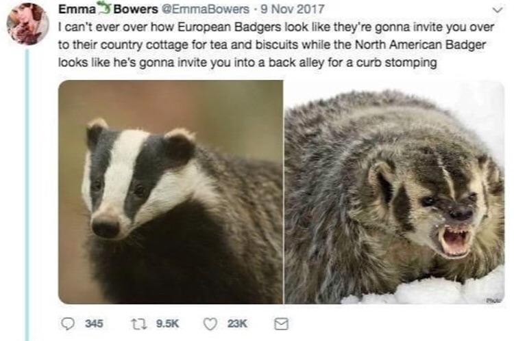 1699742952233.jpeg