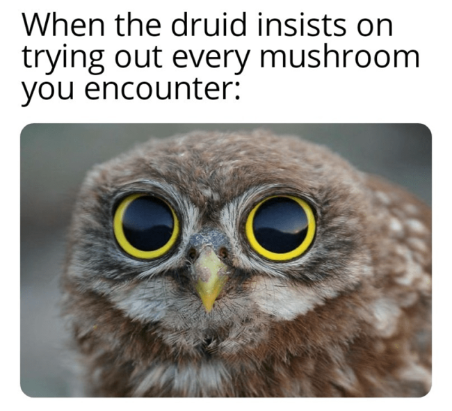 1708033480078.png