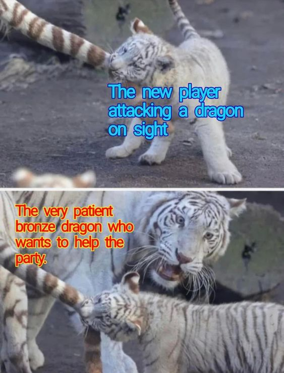 1720060645036.png