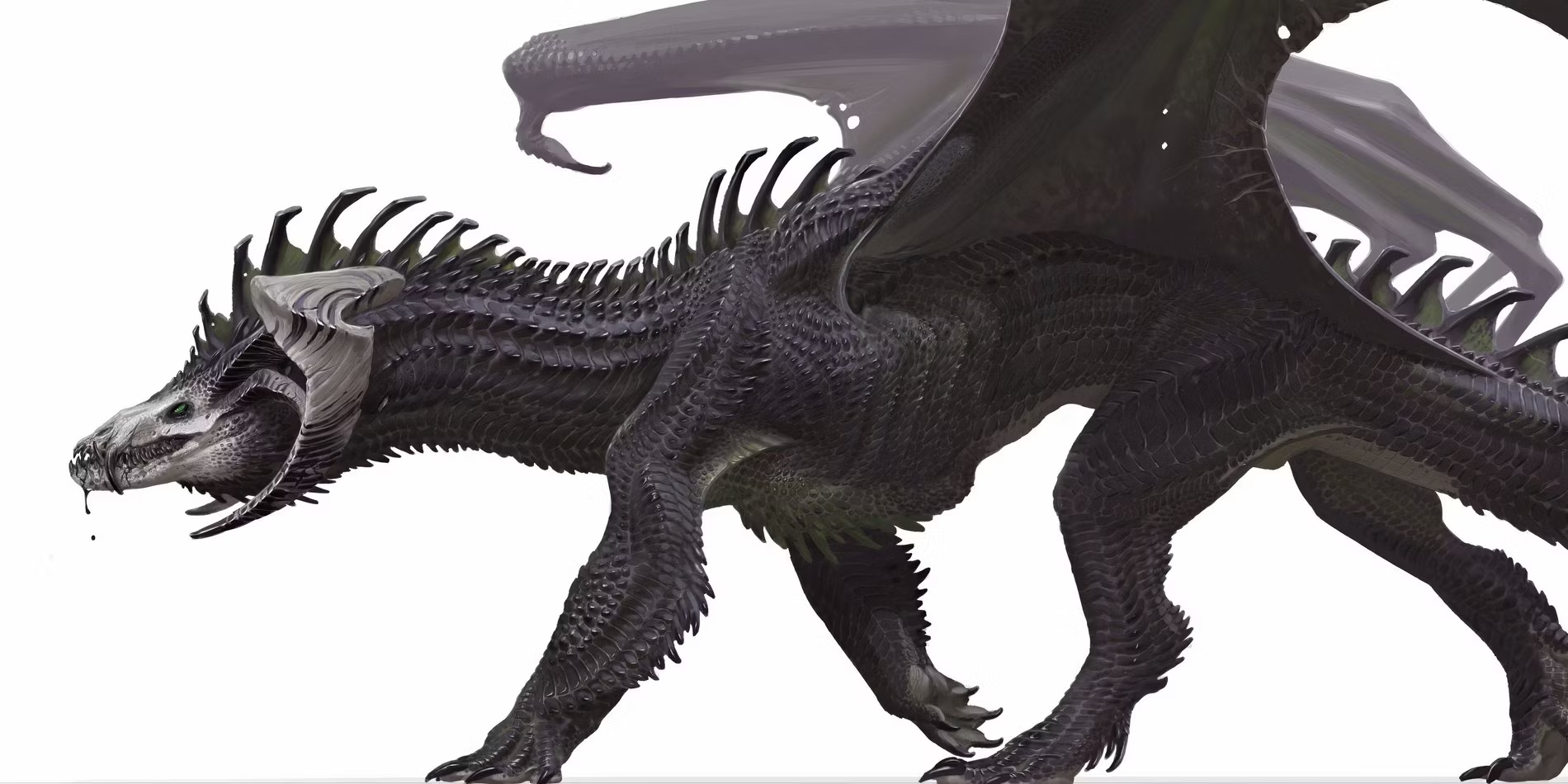 1720117905251.png